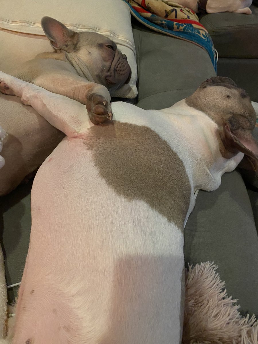 ✨Danielle Sabrina Publicist✨ tweet media