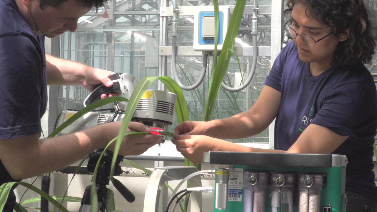 Apply now for our RISE summer undergraduate internship! 
✅ 10-week bioenergy research experience
✅ $5,000 stipend + free housing/travel
✅ Opportunities for underrepresented students
✅ Deadline Feb. 24!

 🔗 Details: cabbi.bio/news/outreach/…
📽️ Video: youtube.com/watch?v=vdlEJS…
