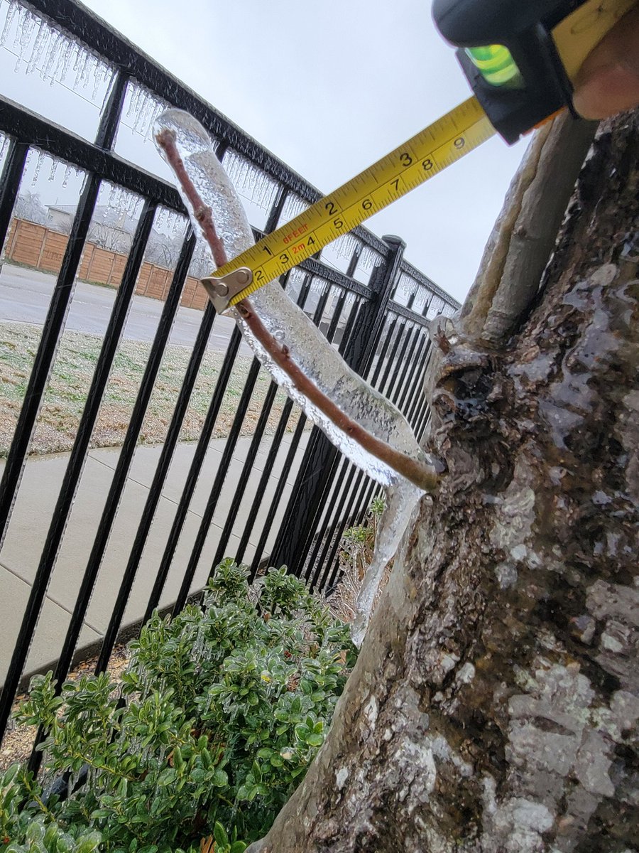 meshalovely84's tweet photo. Better photo, different branch!
Schultz lane and New Meister ln near 45 toll road. Freezing drizzle is occuring too! 11:50 am #atxwx #TXwinterstorm #ice https://t.co/3IVaoaZD3R