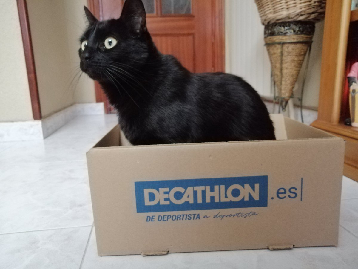 PradaAngela5's tweet photo. Hola! 😎
@Decathlon @DecathlonES https://t.co/fjWSzvVFxm