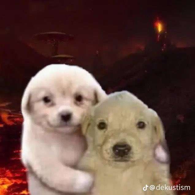 LFemBoy_'s tweet photo. @tinysquash It’s ok https://t.co/g5ybAvD1Ey