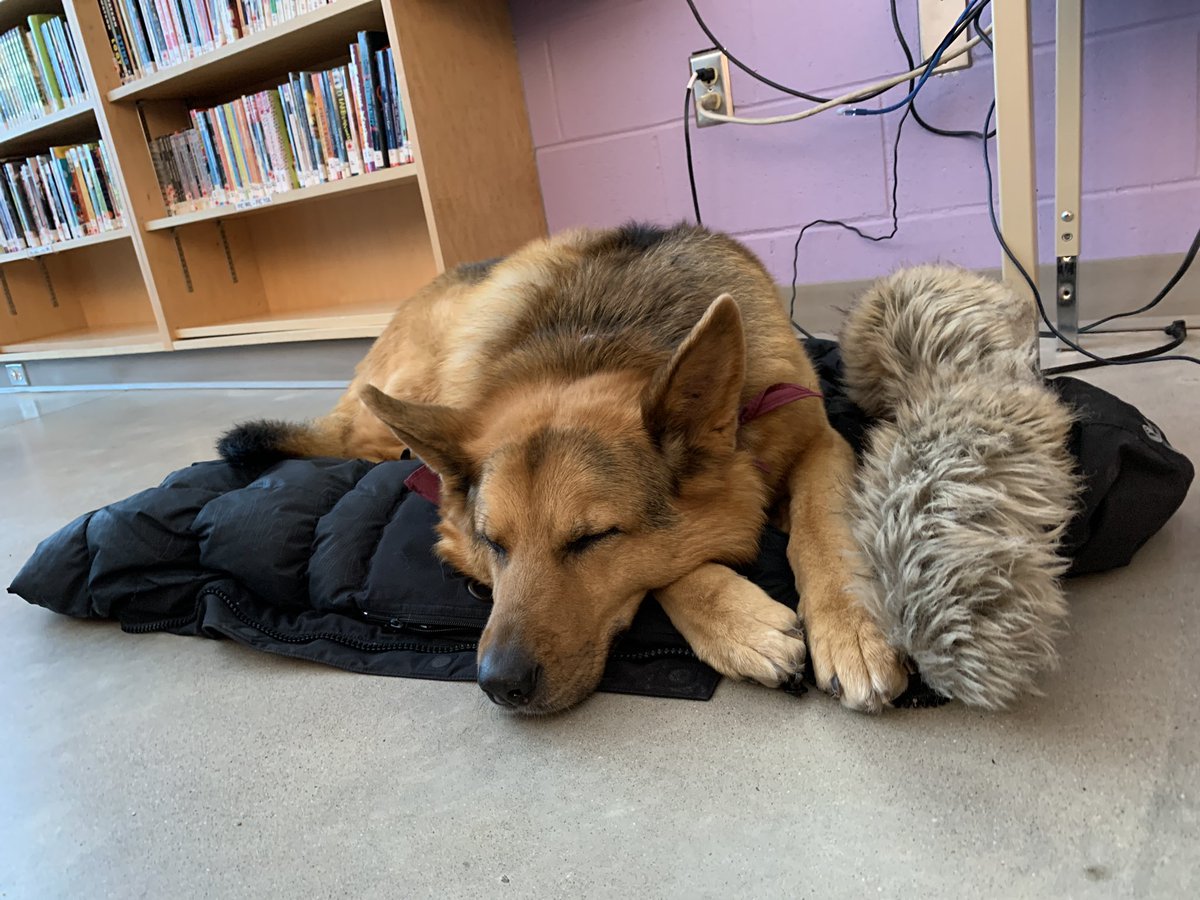 Learning about local wildlife with the #KWSPHumaneSociety #animalcare