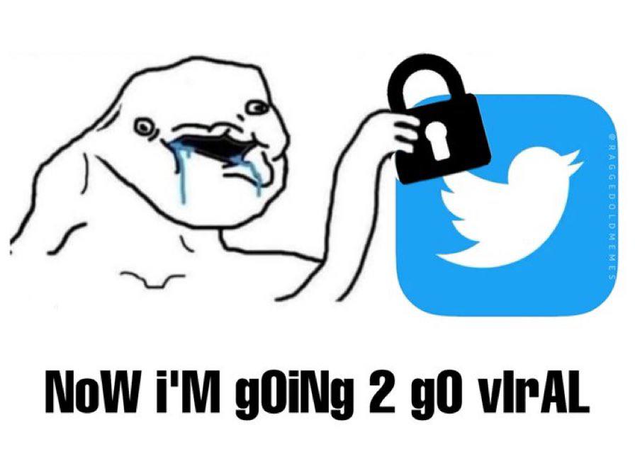 Everyone on the bird app today: