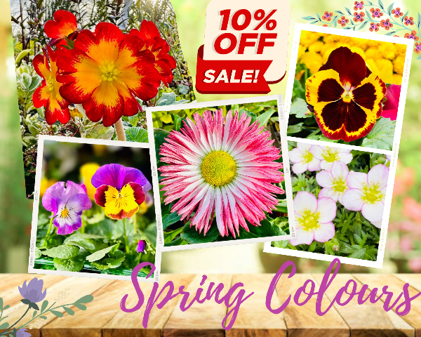 bow_gc's tweet photo. Get Spring ready with our stunning garden must haves &amp; top tips for the season ahead.....Click on the link &amp; enjoy our February Newsletter - https://t.co/k81sml6CIX https://t.co/3YzvjM4qI6