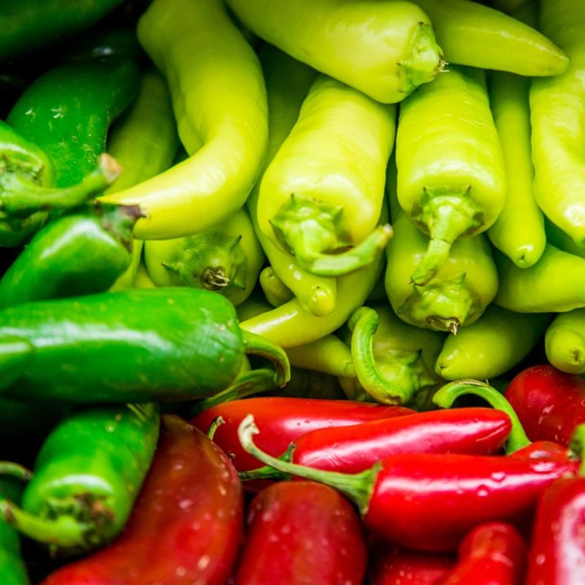 168AsianMart's tweet photo. From fresh ingredients to the final dish, we can't wait to help bring your recipes to life. #168AsianMart #AsianMarket #groceries #FoodCourt #MadisonHeightsMI https://t.co/hAbTj4zduT