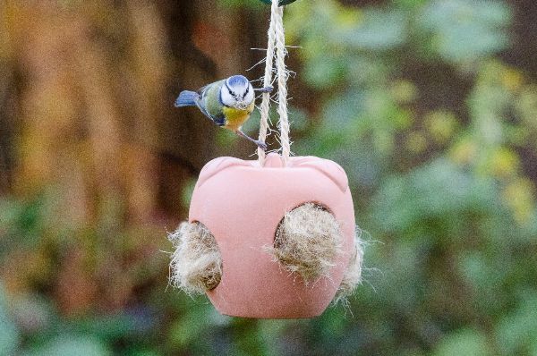 bow_gc's tweet photo. Get Spring ready with our stunning garden must haves &amp; top tips for the season ahead.....Click on the link &amp; enjoy our February Newsletter - https://t.co/k81sml6CIX https://t.co/3YzvjM4qI6