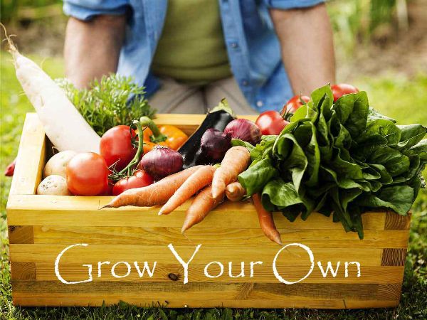 bow_gc's tweet photo. Get Spring ready with our stunning garden must haves &amp; top tips for the season ahead.....Click on the link &amp; enjoy our February Newsletter - https://t.co/k81sml6CIX https://t.co/3YzvjM4qI6