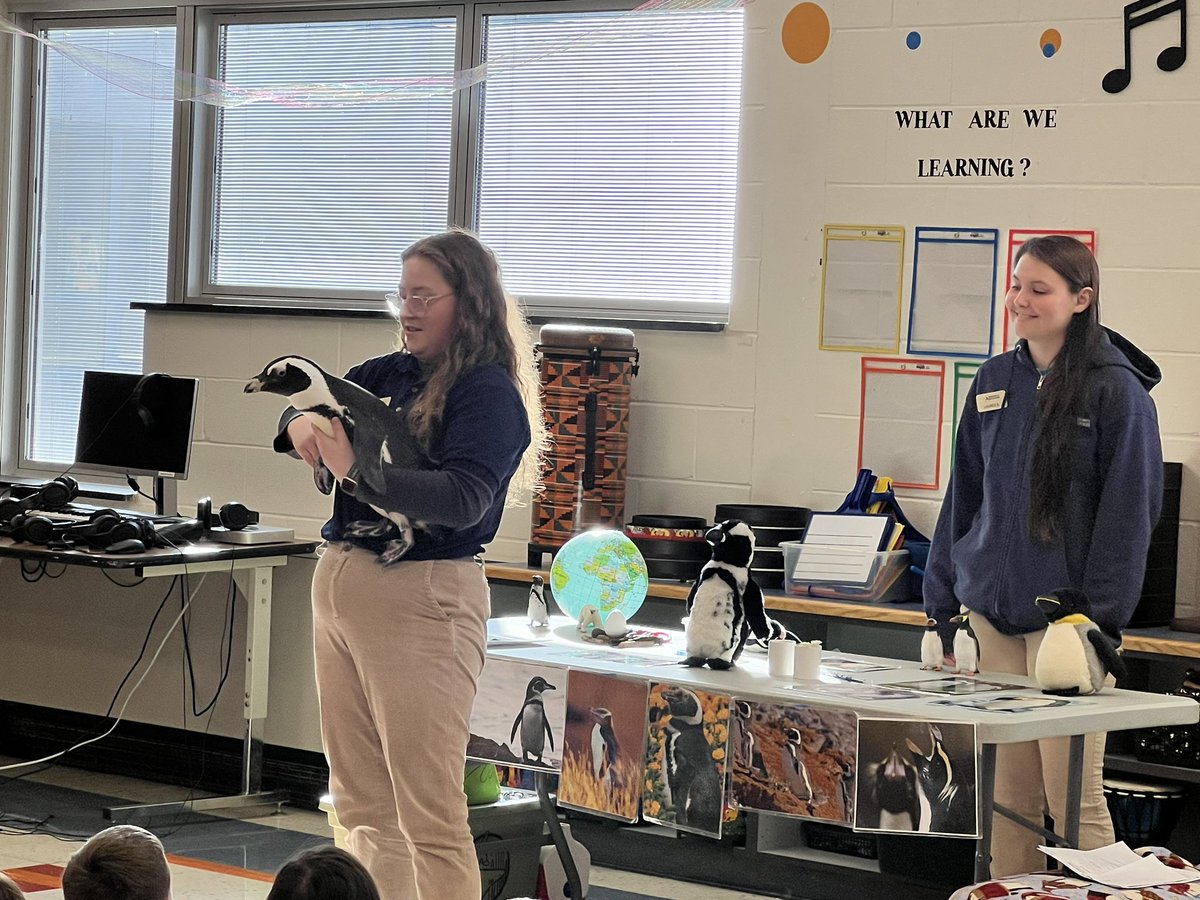 First graders are enjoying a visit from Captain Jack the penguin from Jenkinson’s Aquarium! Thank you to our amazing PTO for sponsoring. 🐧❤️ <a href="/TewksburySchool/">Tewksbury Township School District</a>