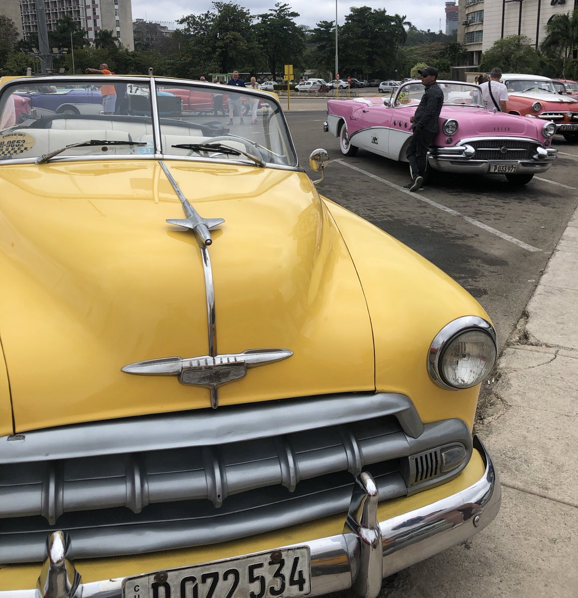 Mark Williams tweet media