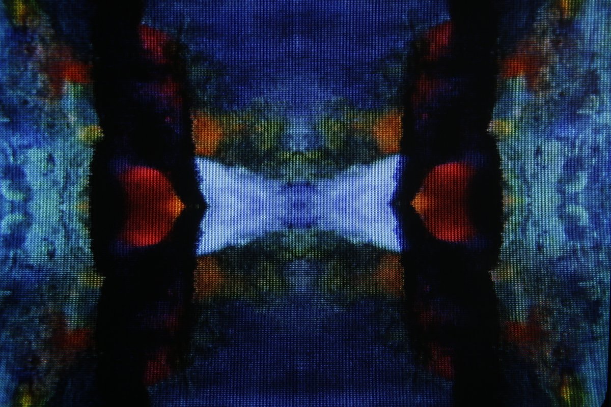 My new collection Butterfly Dreams is now live!

all 1/1s for 20 tezos

6 in the first batch!