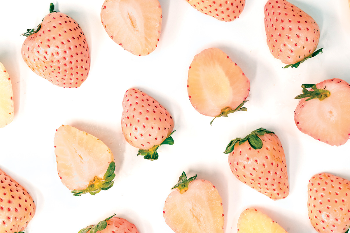 🤔 How do you turn a red berry white? A new strawberry developed at @UF_IFAS with a distinct pale color becomes a national sensation. bit.ly/3DtA21q