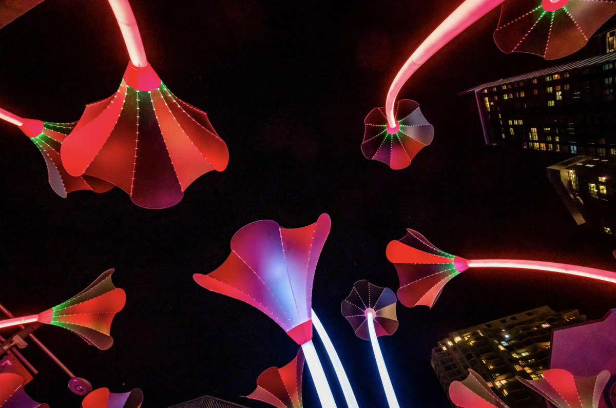 bristol_light's tweet image. There's only T W O days to go before #BristolLightFestival illuminates the city💖

Download our free audio guide to help you discover more about the artists and installations. Available in 12 languages via @guide_ai🎧 

ℹ️ ow.ly/qLUr50MFgpy
🌸 Trumpet Flowers @amigoandamigo