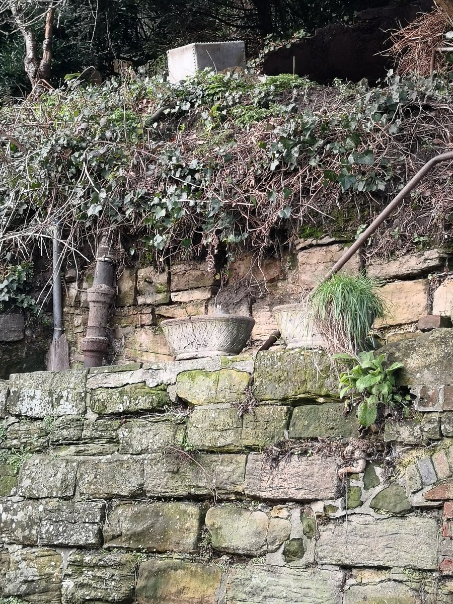 marianpierce19's tweet photo. Spot the Squirrel! "Spotted" on my walk to work this morning...play along of you dare #findthesquirrel #squirrels #abitoffun https://t.co/2HOyponQF6
