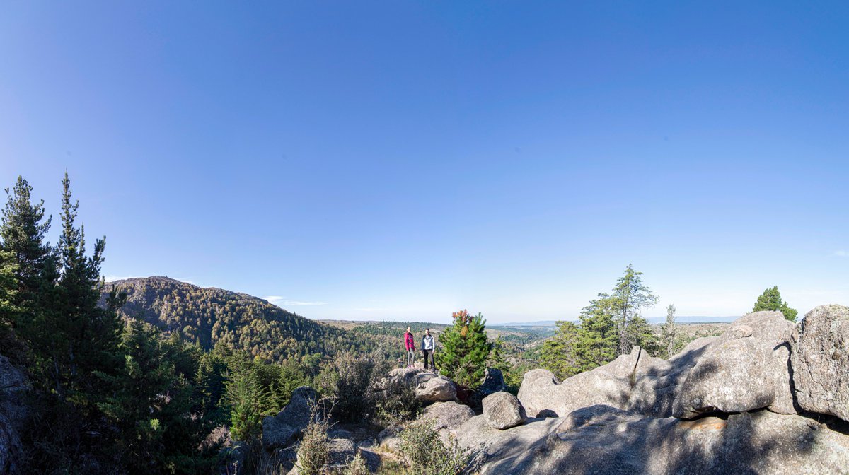 turismocba's tweet photo. 🚶‍♀️Descubrí los #SenderosDeCórdoba con + de 100 recorridos entre paisajes naturales y urbanos. 

✅Consultá la guía digital con senderos clasificados por región turística, ficha técnica y mapas georeferenciados en https://t.co/wyc0dzpVR1

CÓRDOBA❤️VOS
#SenderosQueUnen #MetelePata https://t.co/7OH3BCQNcx