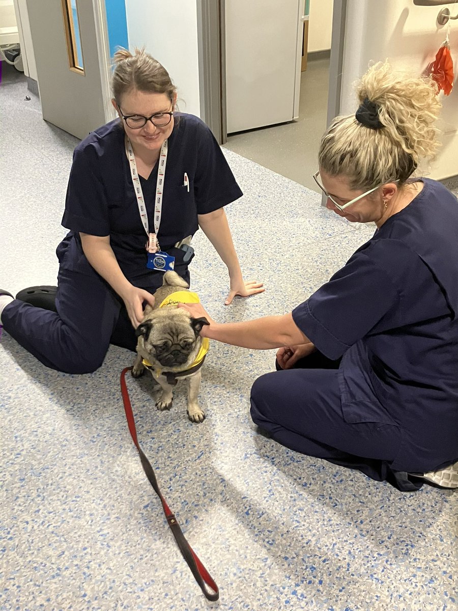 PCCU Royal London Hospital tweet media