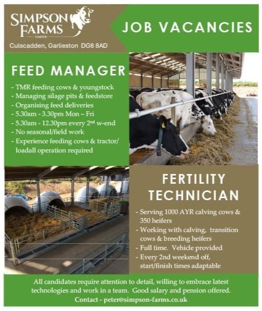 2 great job opportunities. DM or email for further info.