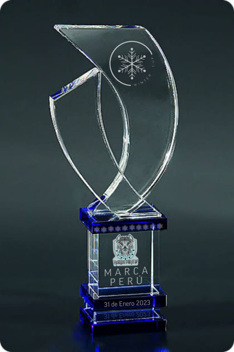 Un fuerte abrazo y un aplauso para <a href="/MarcaPeruClan/">Marca Perú 3.3</a> por ser campeónes de Winter Cup !! 
Felicidades!!