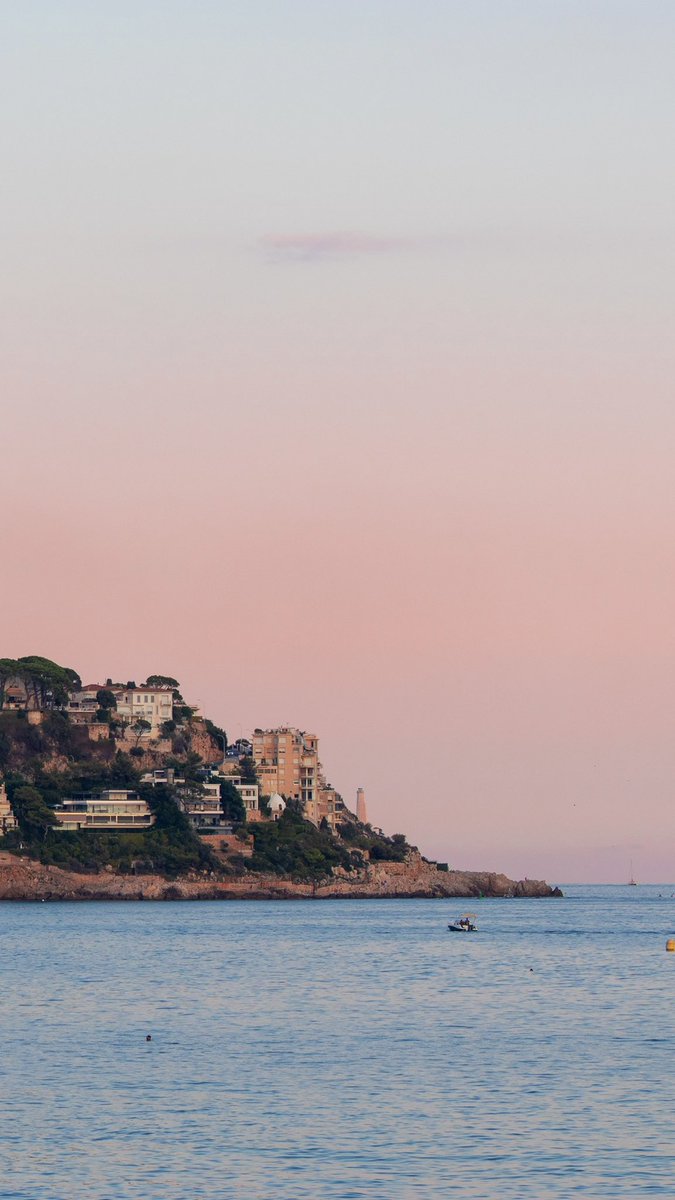 thesneakylens tweet media