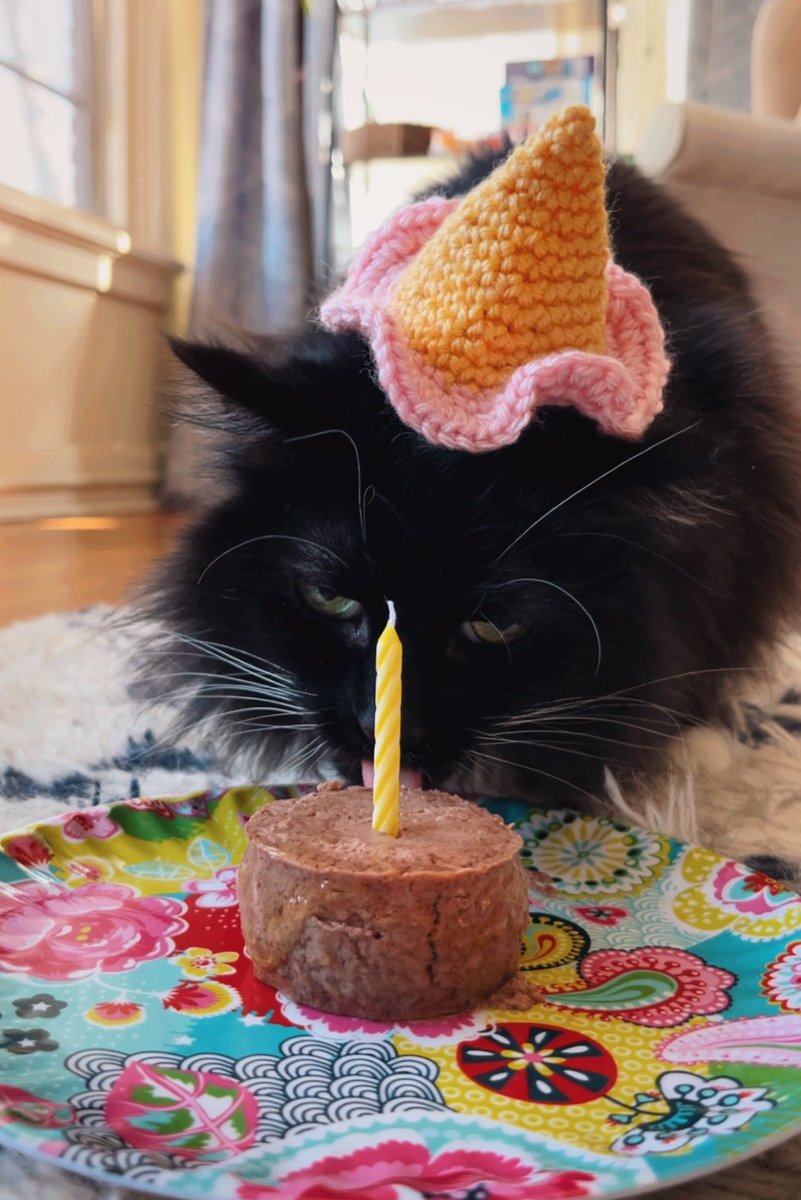 Brennan Bizon tweet media