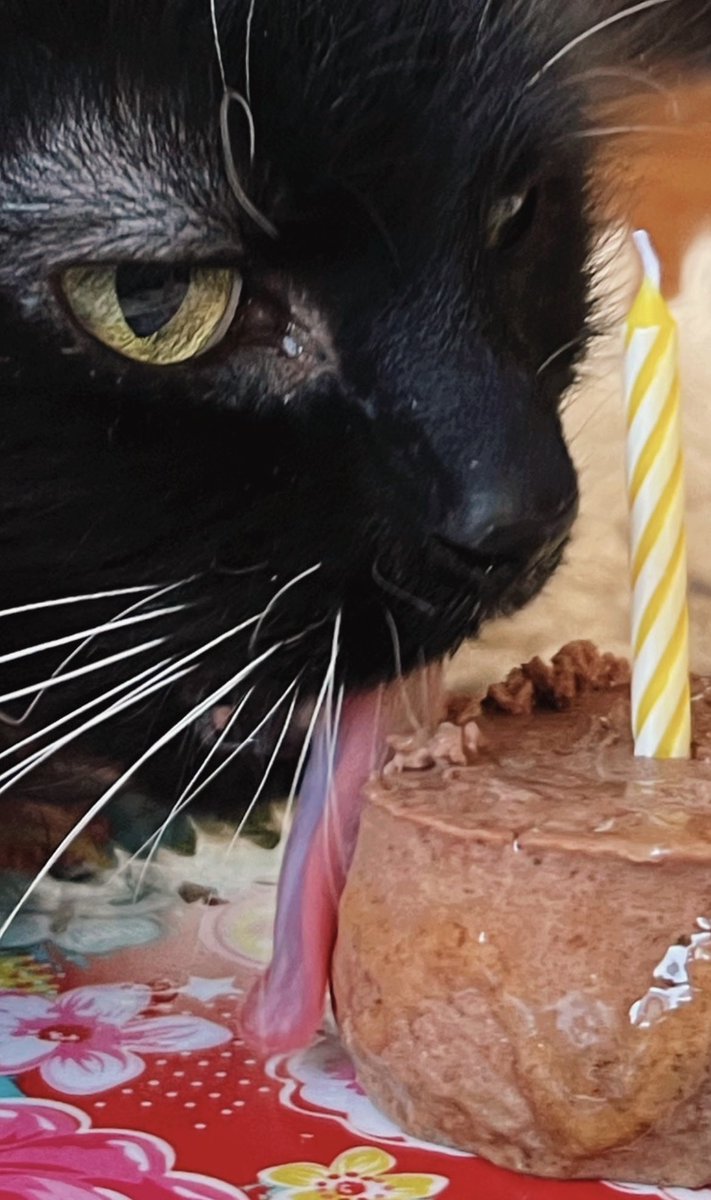 Brennan Bizon tweet media