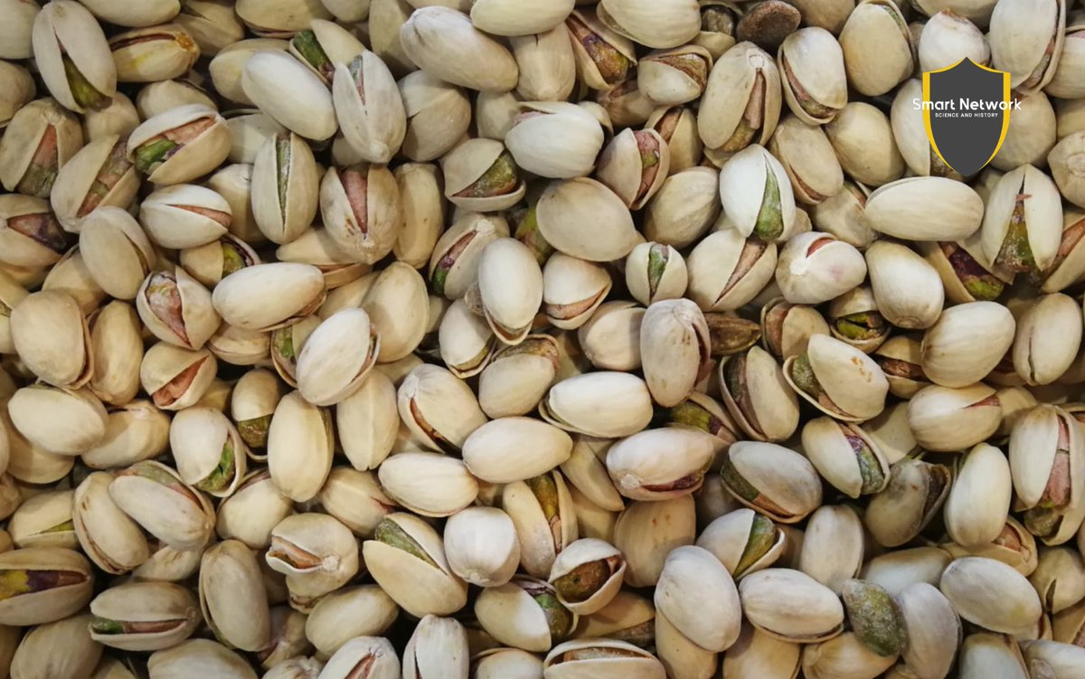 smrtnetwork's tweet image. Raw #pistachios can spontaneously #combust if stored in large #quantities.

#DidYouKnow #facts