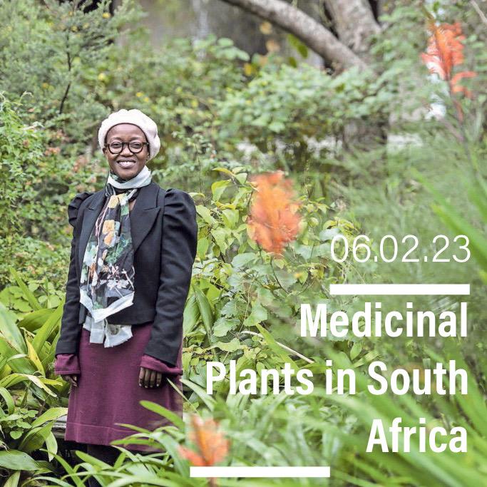 Next Monday @noxthelion joins us to discuss medicinal plants in South Africa. Live and online at 6PM! KMIS.eventbrite.co.uk