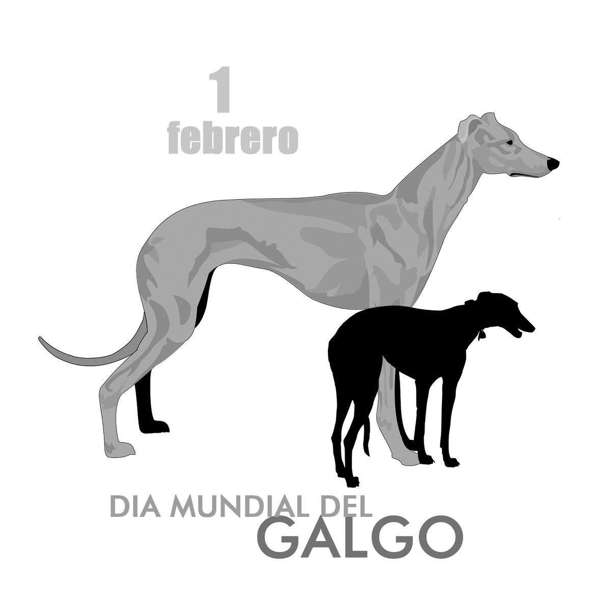Día Mundial del Galgo.
Se celebra el 1 de febrero porque esta fecha marca el final de la temporada de caza, cuando, para muchos galgos, llega un destino mucho peor que la vida cruel que han soportado hasta entonces.
#diadelgalgo #worldgalgoday #stopgalgueros #galgo #galgorescue