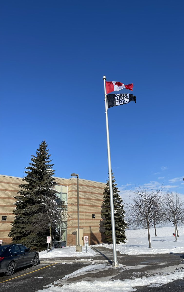 Susan WALSH tweet media