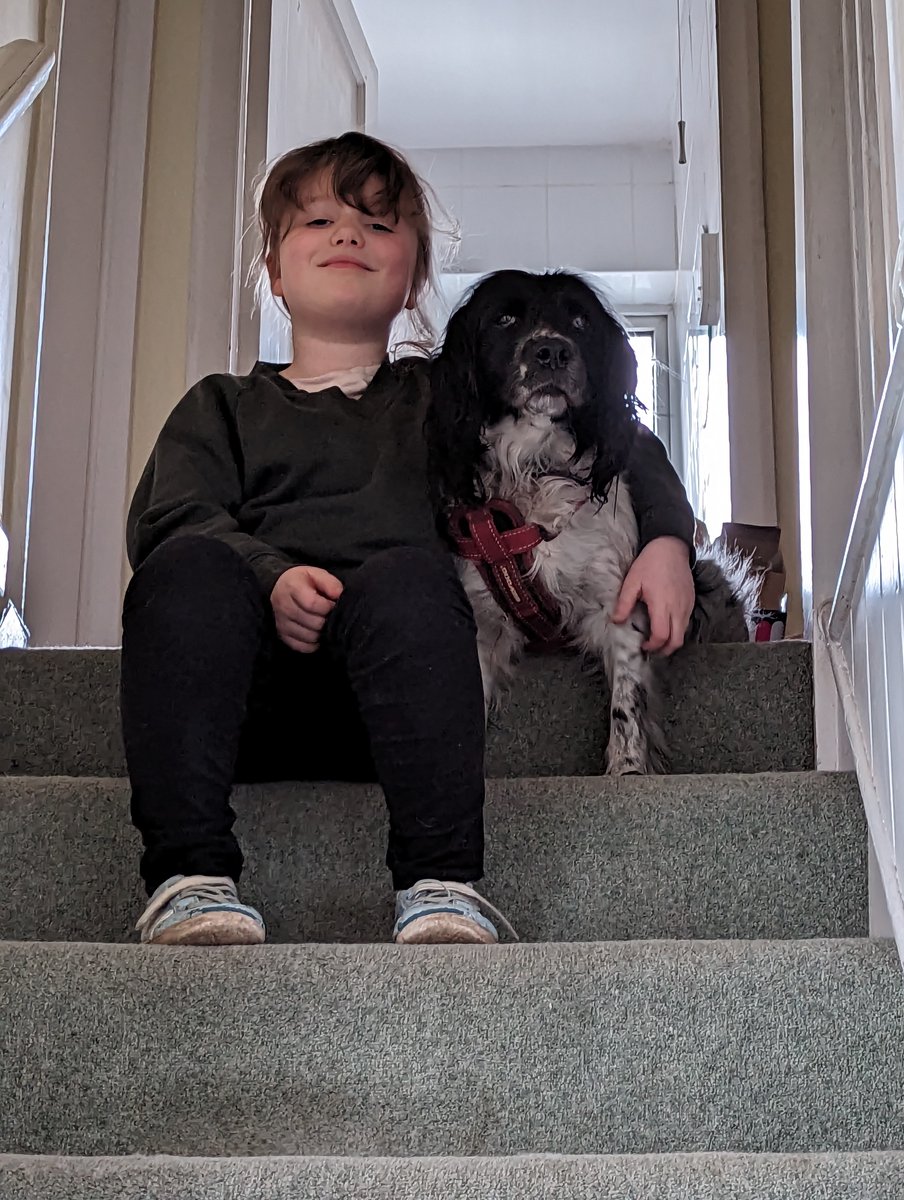 Hi <a href="/stacyplays/">🐾StacyPlays</a> my 8 yo daughter Ellie loves dogcraft. She wanted to know if you were planning to add springer spaniels to dogcraft? Hope you have a lovely day!