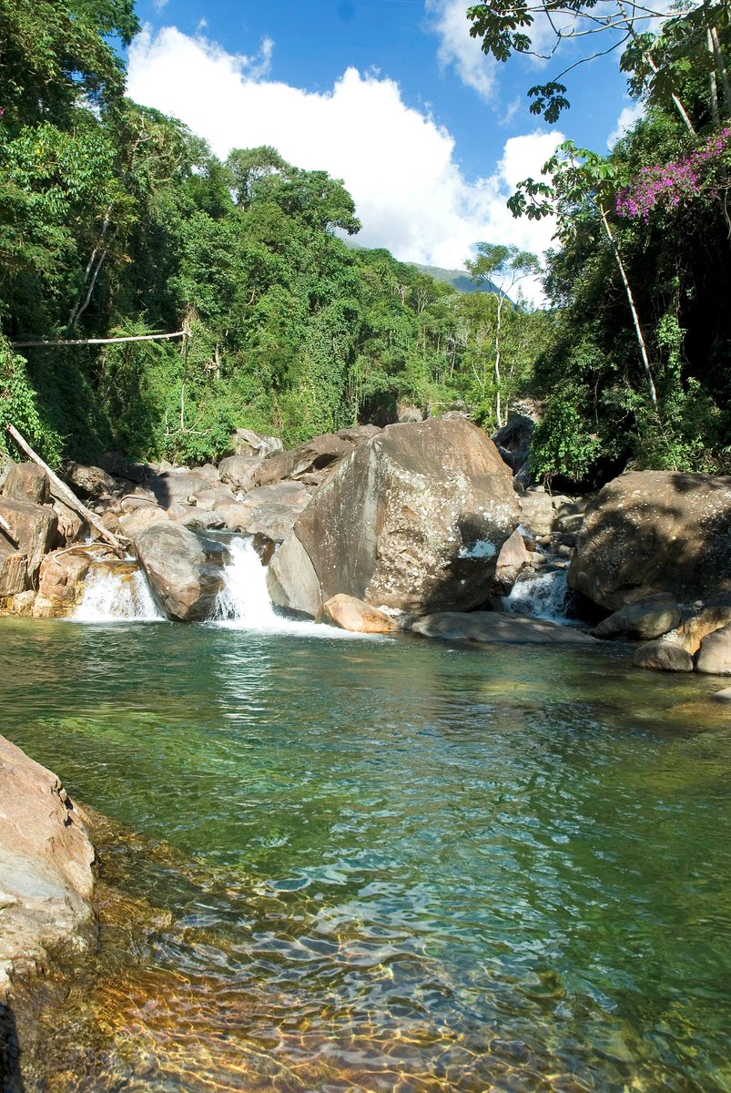 Que tal conhecer um paraíso de águas claras e refrescante?
Esse é o Poço do Egito, localizado em Iúna e destino perfeito para amantes da natureza. 
O local está disponível para visitação todos os dias de 8 às 18h.
#capixabear #TurismoES #DescubraoEspíritoSanto <a href="/GovernoES/">GovernoES</a>