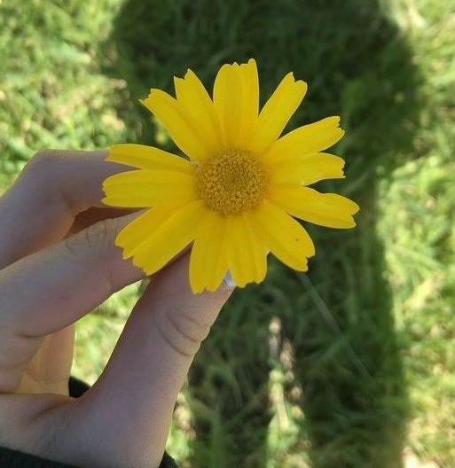 es tan facil hacernos feliz: