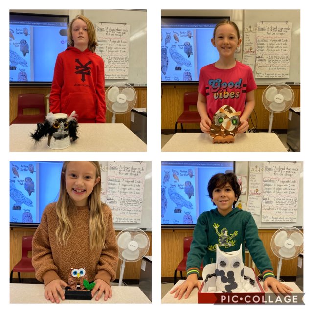 staaSTALLIONS's tweet photo. Amazing owl presentations and projects by our grade 3/4 class.  Thank you for sharing with our whole school! @NLESDCA https://t.co/QDn9f8yymh