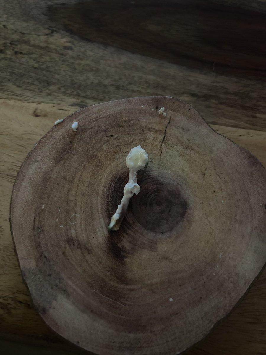 robyn2311's tweet photo. @Ocado not ideal when there’s a pretty hefty bone in your chicken breast fillet 🤮🤮 https://t.co/scC8QNZI98