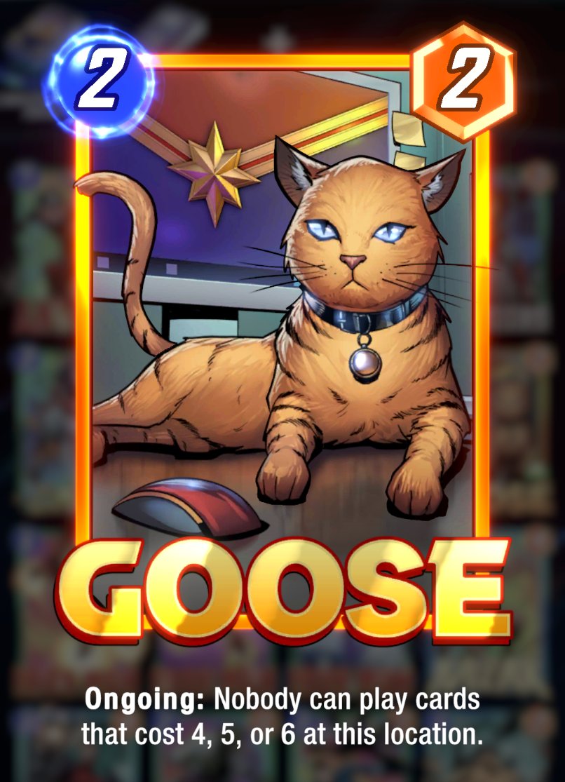 Alex Coccia tweet media