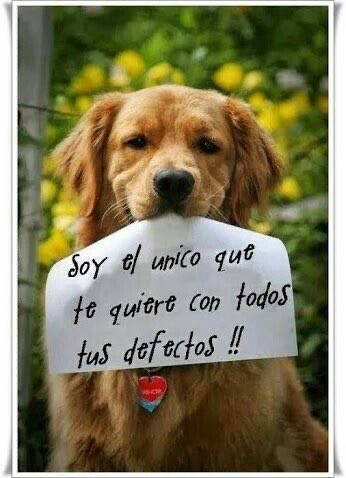 #01Feb 
#BuenasTardes 

TENDENCIAS
Polar
EI FBI
Barquisimeto 
#JusticiaPorLucioDupuy 
Suecia

#NoAlMaltratoAnimal 
#AdoptaNoCompres 
#BastaYa