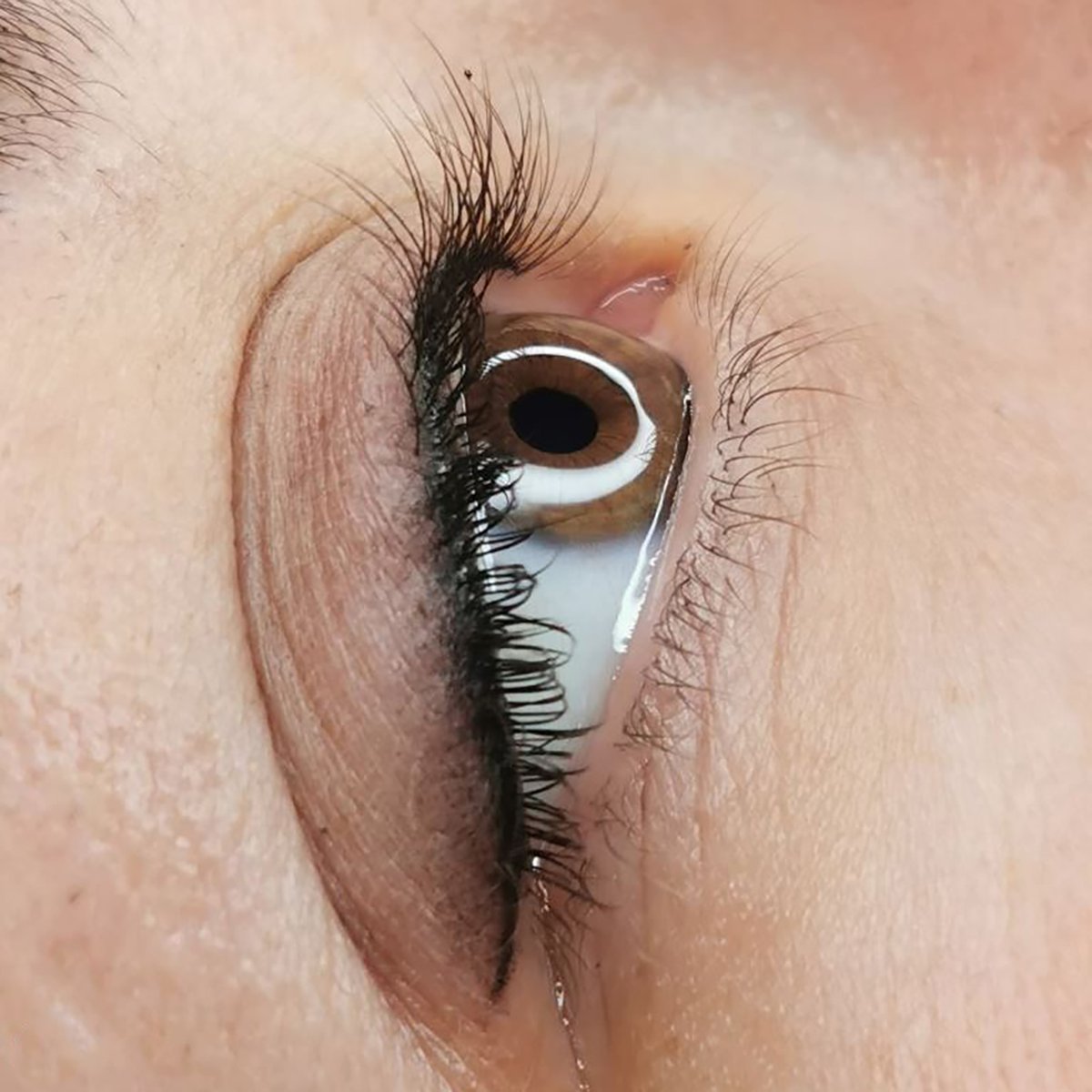 PermablendG's tweet photo. ⚜️ We love it! Softliner made by  @lid_n_lips ⚜️

#permablend #permablendpigments #pmu #pmubrows #powderbrows #permanentmakeup #makeup #permanentcosmetics #permanenteyeliner #cosmetics #cosmetictattoos #eyebrowtattoo #browtattoo #veganink #permabeliever #permablendgermany https://t.co/R7nUGbpG8M