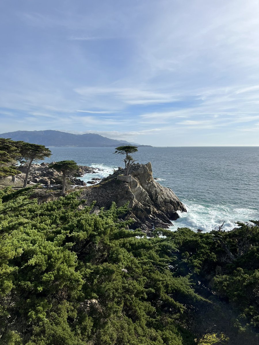 Pebble Beach showing off today…😍