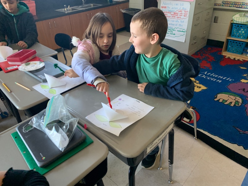 Leslie01482706's tweet photo. Third grade students investigating why plants make a flower and the structures involved.
They also answered the question, “How could you change your flower to make it easier for bees to carry pollen to the stigma?”
#plantstructureandfunction
#mysteryscience
#pollination https://t.co/lilyZ0Axbf