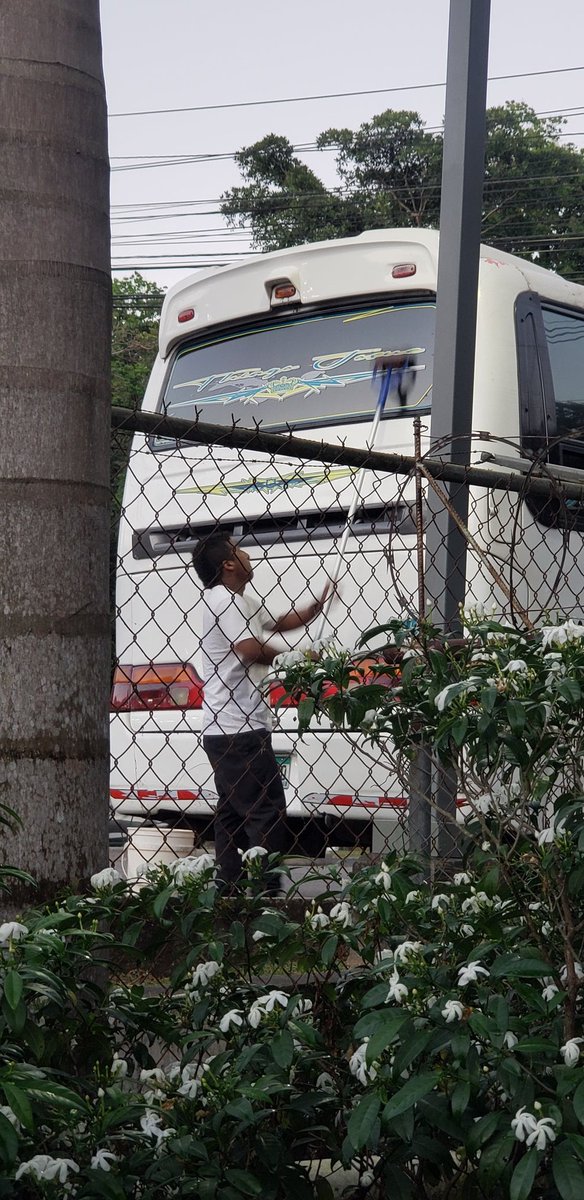 solidcz's tweet photo. 3 llamadas para asistencia, a @ProtegeryServir Area Canalera y nada! Un bus de ruta, mas de 2+ horas, tirando humo de diesel adentro de mi casa y vibrando las ventanas. Esto NO ES UNA PIQUERA, NO LAVA AUTO!!!  @panamamunicipio https://t.co/4kKXKZo8IC