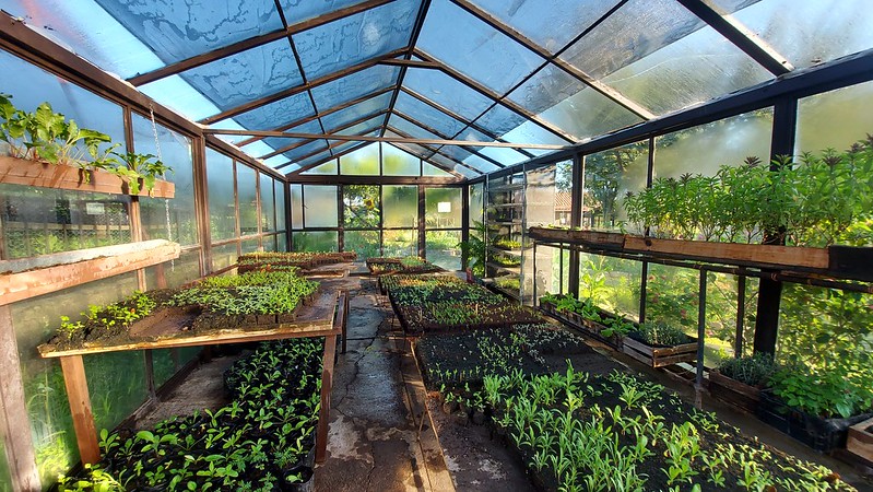 ¡Conoce a nuestras aves de corral! - mailchi.mp/viaorganica/h6…