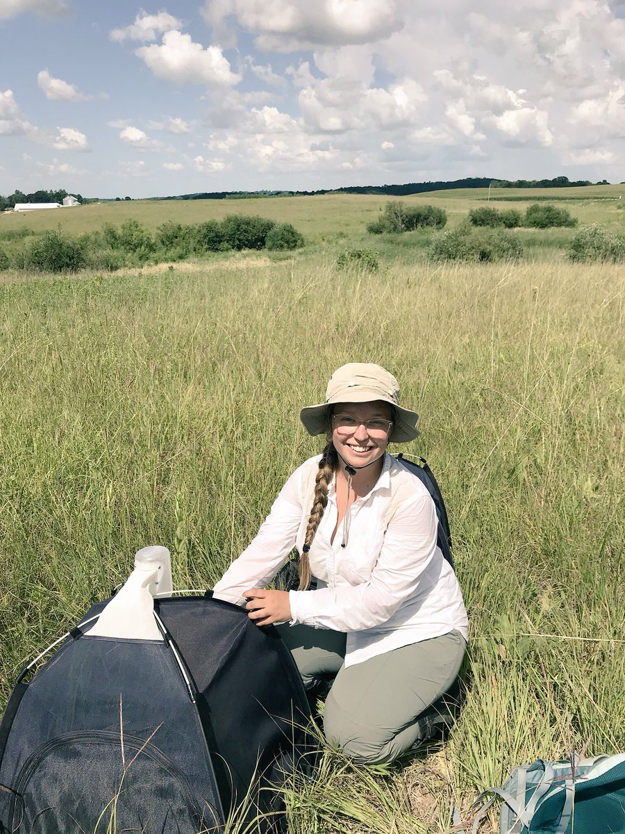 Echinacea Project (@teamechinacea) on Twitter photo The Wagenius Lab <a href="/TeamEchinacea/">Echinacea Project</a> is considering 1-2 new MS students <a href="/PBCresearch/">Plant Biology and Conservation Program</a> for fall 2023. Interested in a) plant-pollinator interactions? b) prescribed prairie fire and plant reproduction? c) ground-nesting bees? Applications due 15 Feb. Learn more: echinaceaproject.org/opportunities/… The Wagenius Lab <a href="/TeamEchinacea/">Echinacea Project</a> is considering 1-2 new MS students <a href="/PBCresearch/">Plant Biology and Conservation Program</a> for fall 2023. Interested in a) plant-pollinator interactions? b) prescribed prairie fire and plant reproduction? c) ground-nesting bees? Applications due 15 Feb. Learn more: echinaceaproject.org/opportunities/…