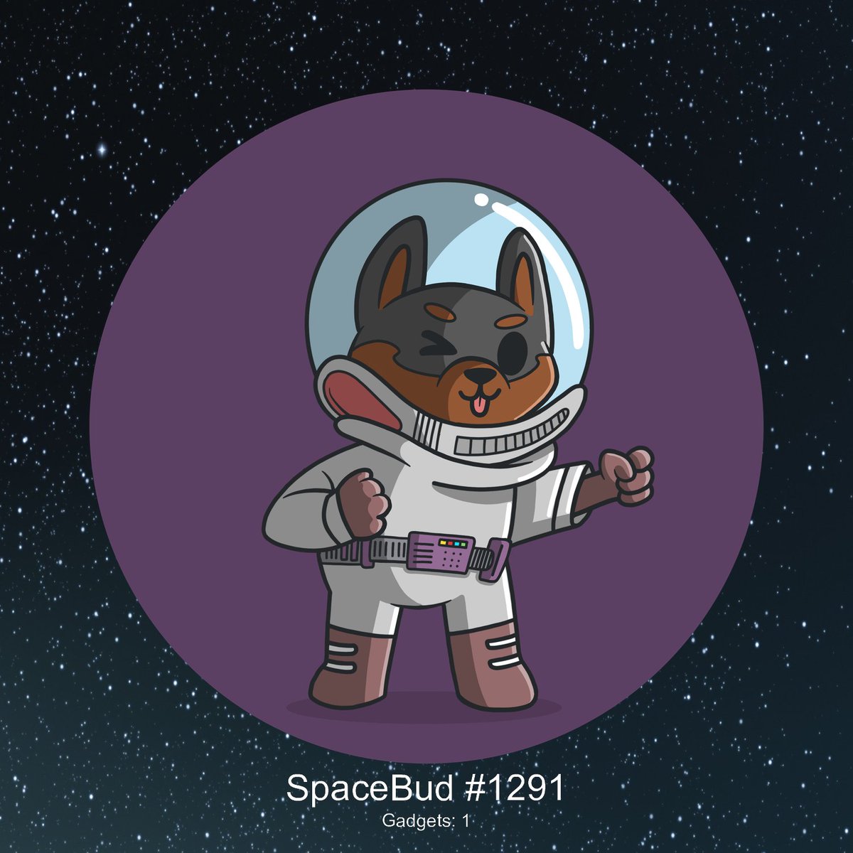 SpaceBudz Live tweet media