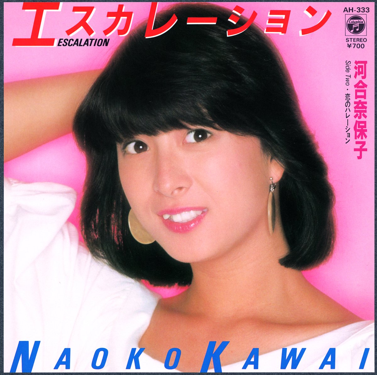 『スカイ・パーク』
『Summer Delicacy』
『scarlet』
奈保子さんのアルバムの中でも
自分の音楽的好みは、この三枚。
モチロン、
竹内まりやさんの楽曲を集めた
『あるばむ』とか、
『HALF SHADOW』
『DAYDREAM COAST 』
『さよなら物語』などの
アルバムもいいのだけれどね。😄