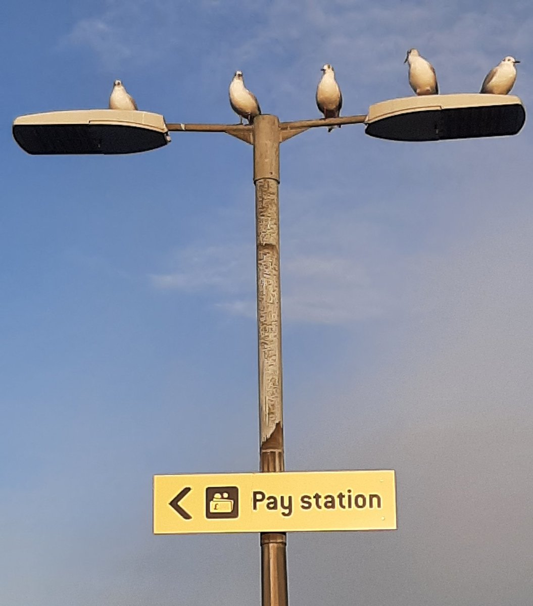 Michelle H tweet media