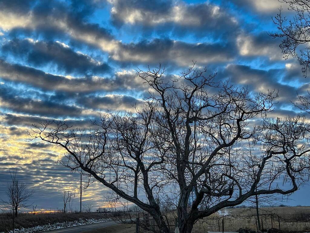 I figure since I posted half, I might as well post the whole tree 😉 ⁣ .⁣ .⁣ .⁣ .⁣ .⁣ #midwestliving #ruralmissouri #midwestisbest #midwestmoment #missourinaturephotographer #monature #missourionly #missourioutdoors #missouriconservation #sullivan… instagr.am/p/CoI4xlCM4Zv/