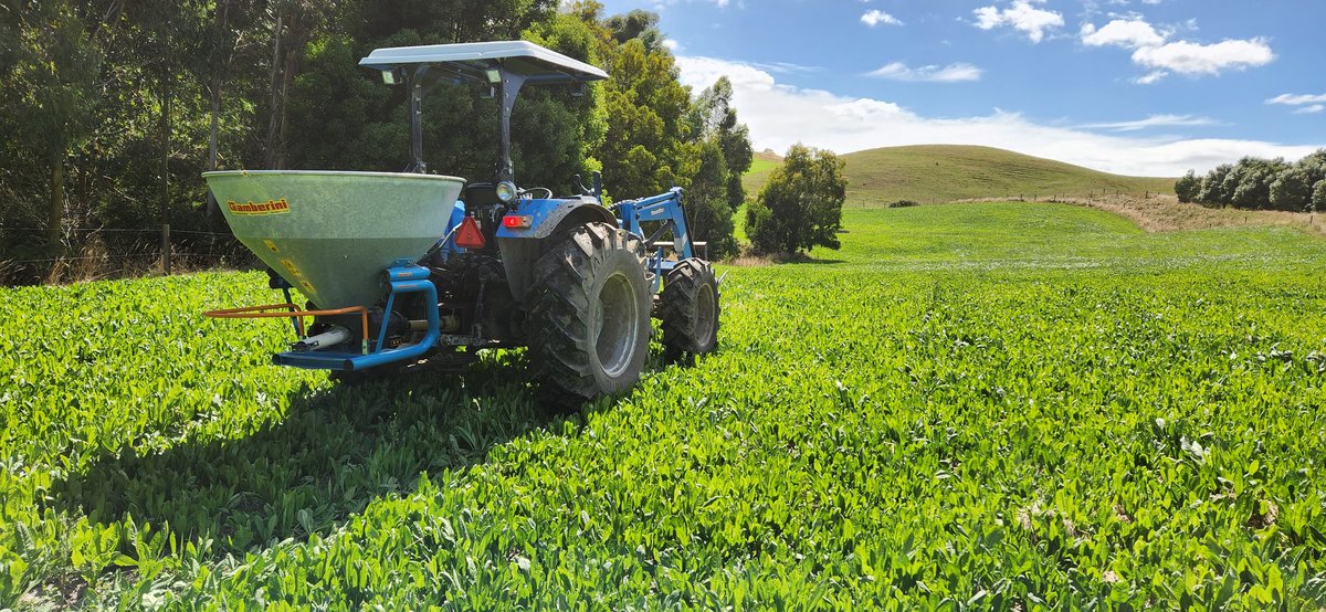 Brian Corr tweet media