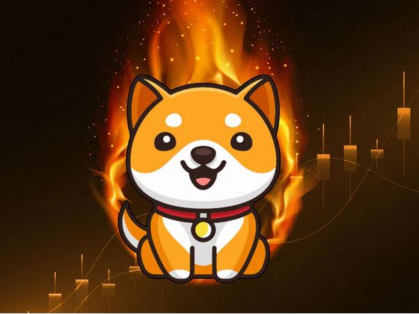 BSCGemsAlert's tweet photo. 682 trillion #BabyDoge was burned forever worth estimated $1,091,200 🔥

Proof https://t.co/rBpUl1ZJHk https://t.co/SuW5e3s9B9
