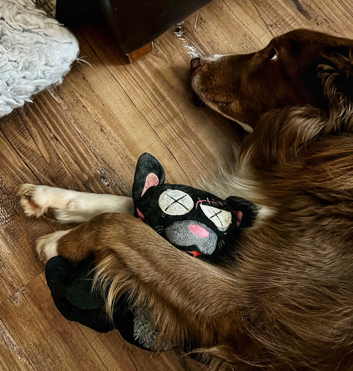 Hanging out with this guy 🐾 
#goodvibes