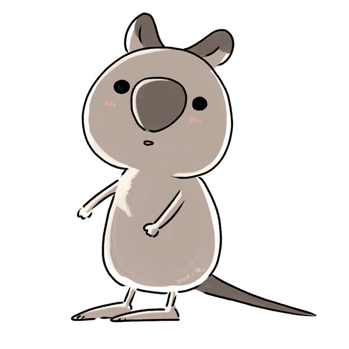 クォッカ 