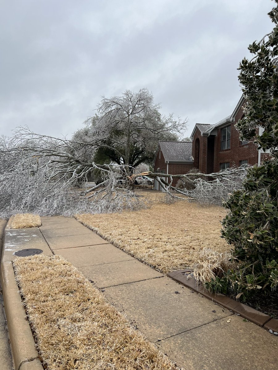 From a tree standpoint I feel like the destruction in our neighborhood is worse than the 2021 storm #atxweather